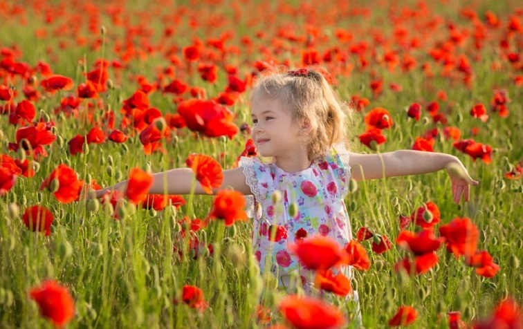 ילדה בשדה פרחים אדומים
